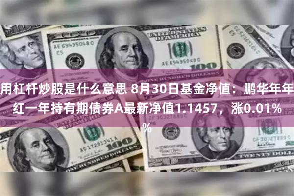 用杠杆炒股是什么意思 8月30日基金净值：鹏华年年红一年持有期债券A最新净值1.1457，涨0.01%