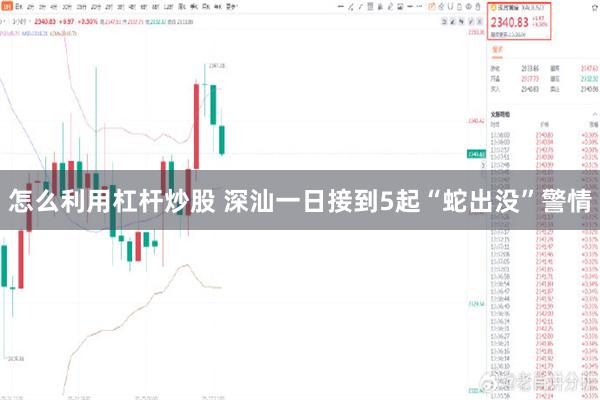 怎么利用杠杆炒股 深汕一日接到5起“蛇出没”警情