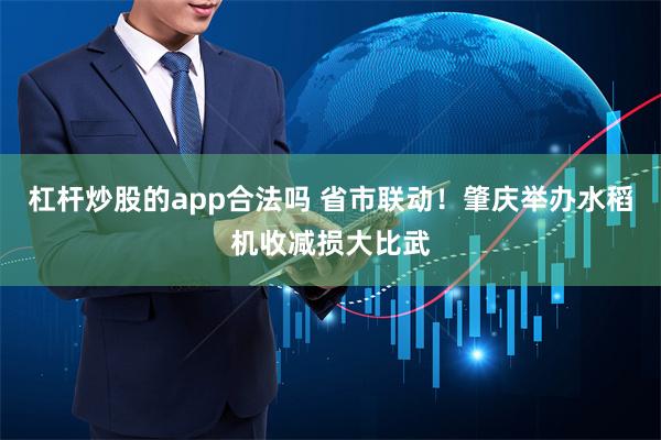 杠杆炒股的app合法吗 省市联动！肇庆举办水稻机收减损大比武