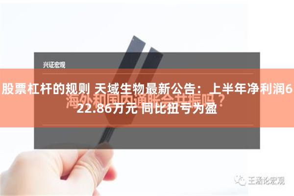 股票杠杆的规则 天域生物最新公告：上半年净利润622.86万元 同比扭亏为盈