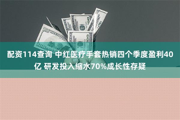 配资114查询 中红医疗手套热销四个季度盈利40亿 研发投入缩水70%成长性存疑