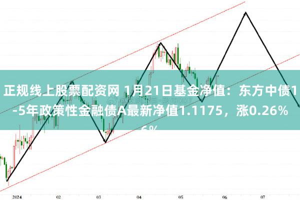 正规线上股票配资网 1月21日基金净值：东方中债1-5年政策性金融债A最新净值1.1175，涨0.26%